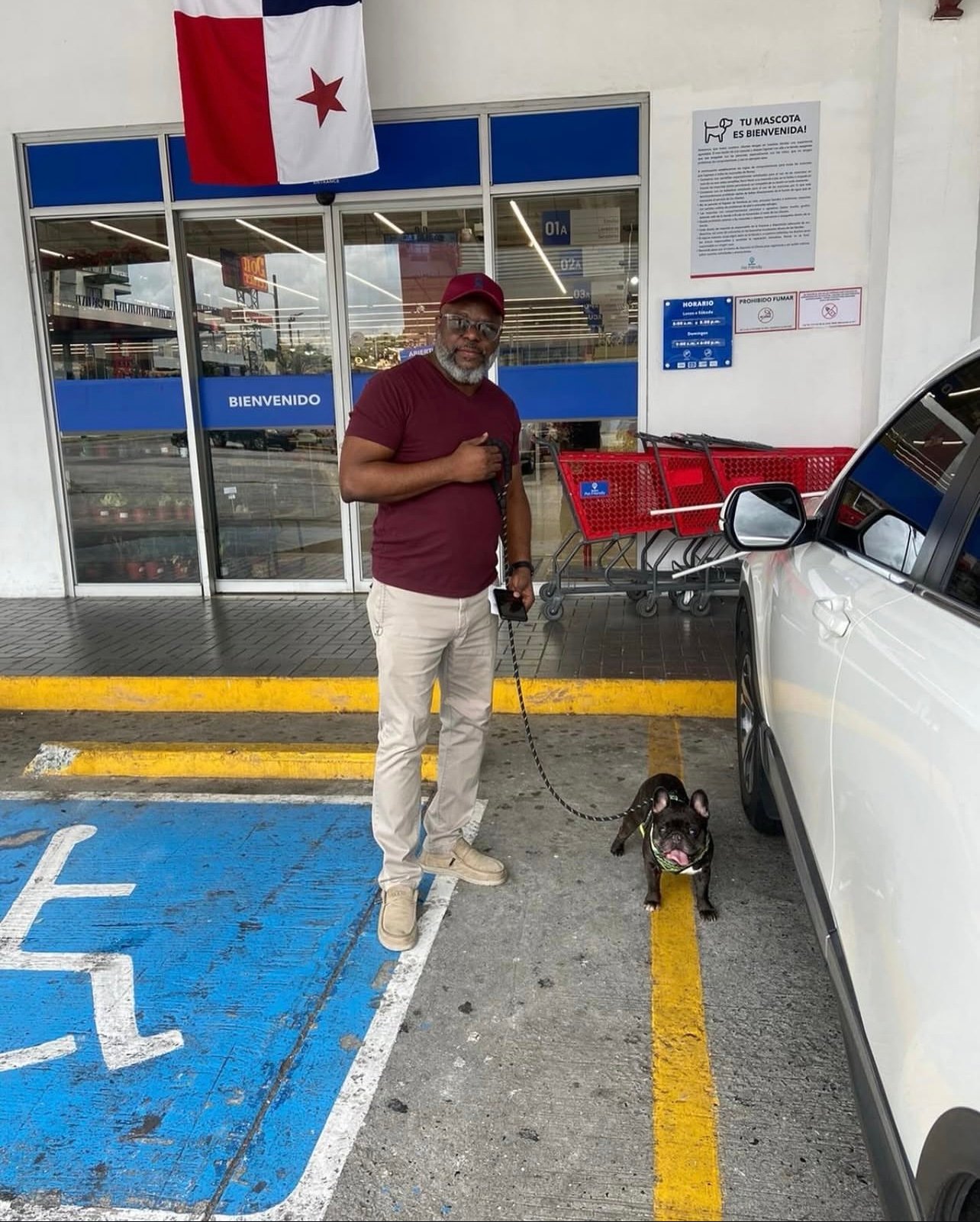 Toasty the French Bulldog